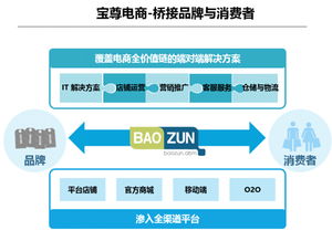 寶尊攜手希杰重構(gòu)電商版圖 撬動(dòng)萬億級市場 市場營銷策劃全解析